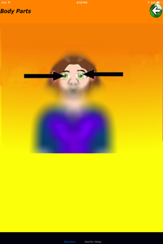 Body Parts - Basic - náhled