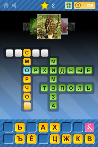 Crosswords & Pics - Plants Edition screenshot 3