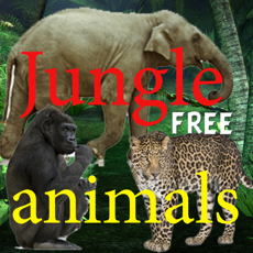 Activities of Jungle animals Free