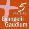 Icon Evangelii Gaudium 5 min