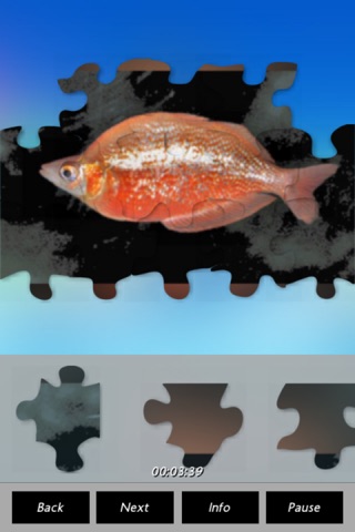 Fish - Puzzles screenshot 4