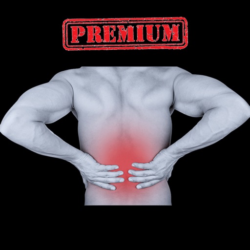 Physical Back Workout (Premium) - Heal Your Back Pain With This Efficient Training Routine icon