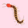 Kill Centipede