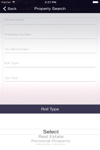 Liberty County Tax Collector screenshot 2