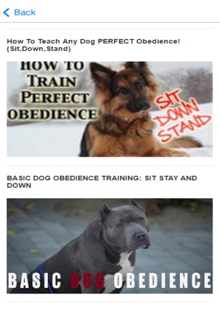 Dog Training Tips - Tips and Tricks For Training Your Dog screenshot 3