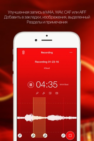 Audioholic recorder screenshot 2