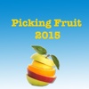 picking fruit 2015