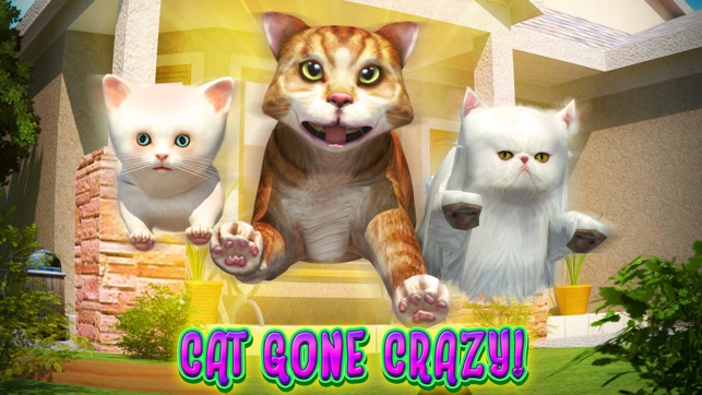 Cat Frenzy 3D(圖2)-速報App