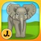 Jungle and Rainforest Animals 2: puzzle game for little girls, boys and preschool kids