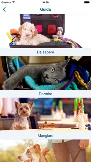 Viaggiare con Cane e Gatto(圖2)-速報App