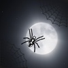 Spider-Web