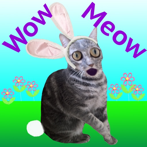 Wow Meow Bunny Cat iOS App