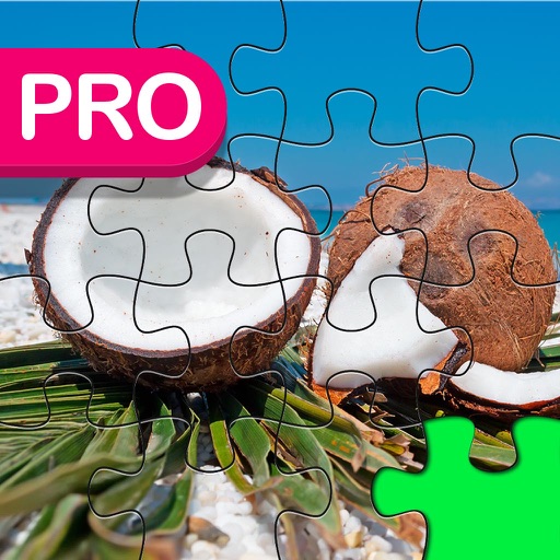 Top Jigsaw Puzzle With Tropical Adventures World icon