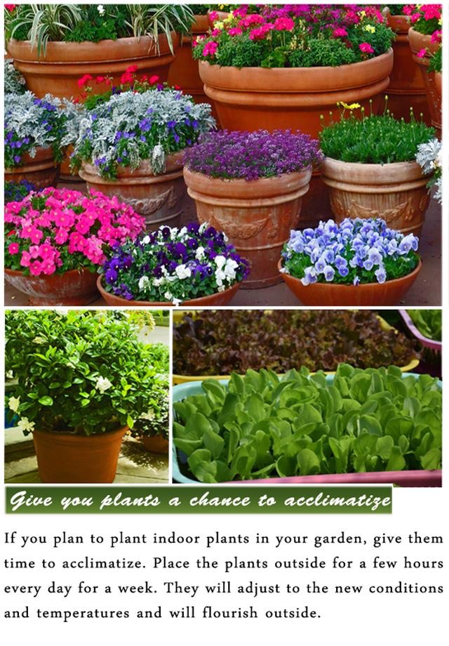 DIY Gardening Tips screenshot 4