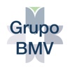 Grupo BMV