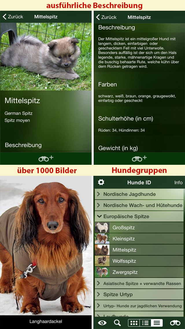 How to cancel & delete Hunde Id - Welcher Hund passt zu mir? Sunbird Ratgeber zur Auswahl der passenden Hunderasse from iphone & ipad 4