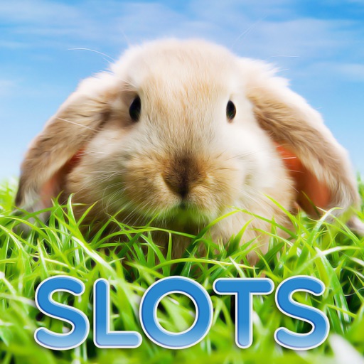 Spring Animals - FREE Slots Game The Nikephoros Way of Wealth icon