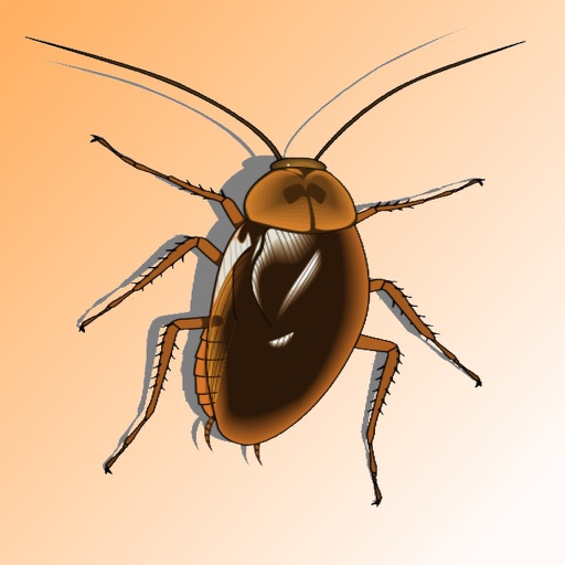 Bugs Attacks icon