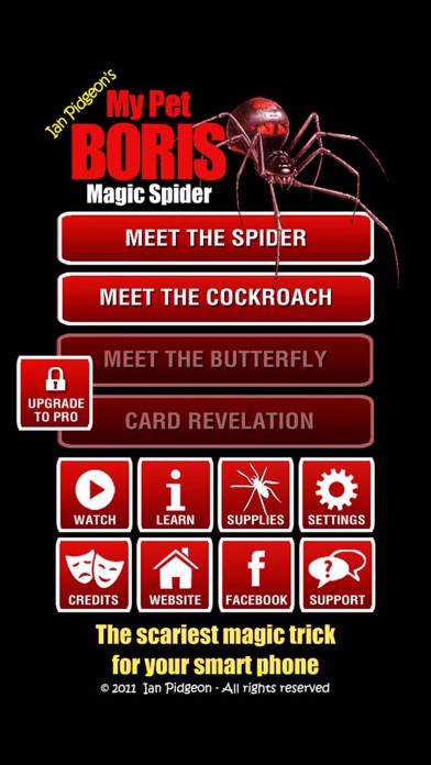 Magic Spider screenshot1