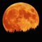 Relax HF (High Fidelity) for iPod & iPhone & iPad
