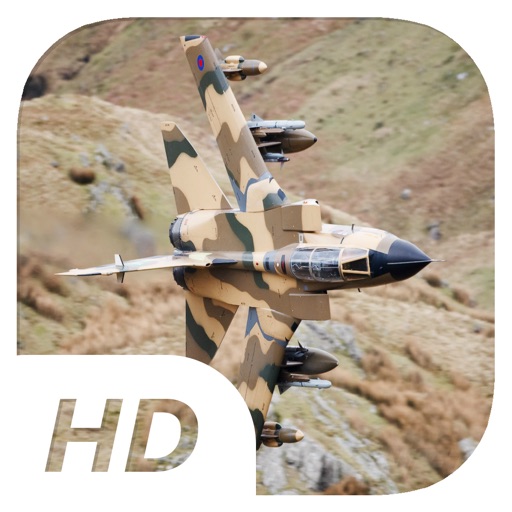 Mad Hawk - Flight Simulator icon