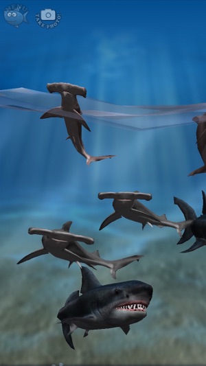 Shark Fingers! 3D Interactive Aquarium FREE(圖1)-速報App