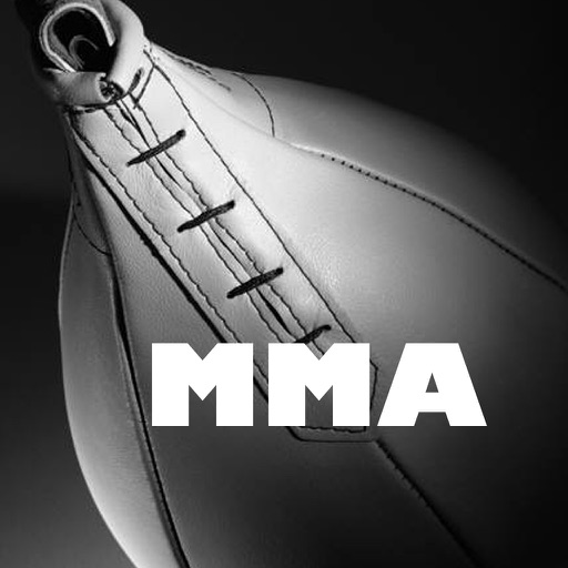 MMA EX icon