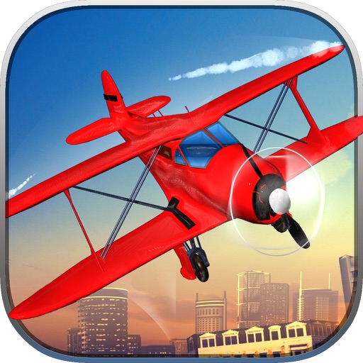 Propeller Plane Landing Icon