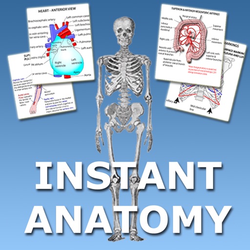 Instant Anatomy Flash Cards