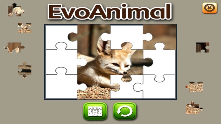 EVO ANIMAL - Augmented Reality screenshot-4