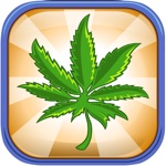Weed Business - Drug Farm Tycoon