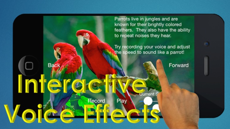 The Bird Book - an Interactive Storybook for Children