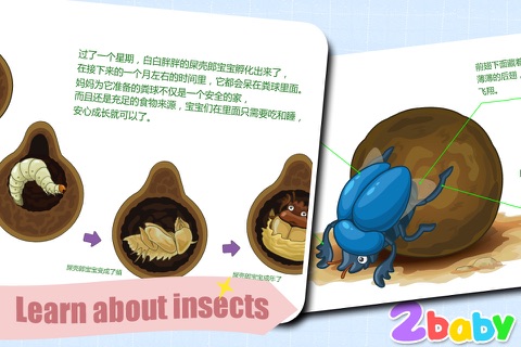 Dung beetle - InsectWorld  A story book about insects for children screenshot 4