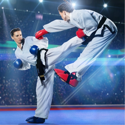 Karate Lessons - Learn How To Improve Your Karate Technique Icon