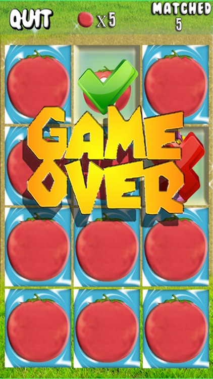 Cool Matching Game Multi Level for Veggietales
