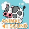 Amazing Epic Animals Sounds