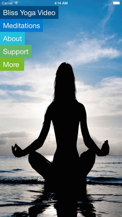 Restorative Bliss Yoga - Therapy for Life with Skyer Myers