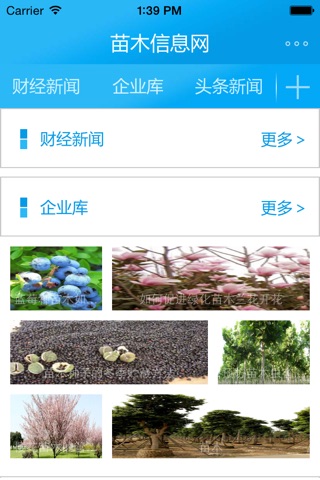 苗木信息网客户端 screenshot 2