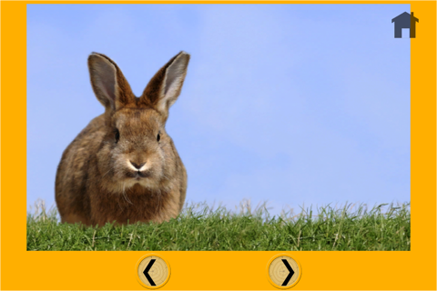 my kids and rabbits - free game screenshot 4