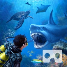 Activities of Sharks VR