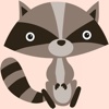 Raccoon Bibi