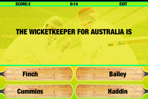 Cricket World Champions screenshot 2