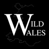 Wild Wales