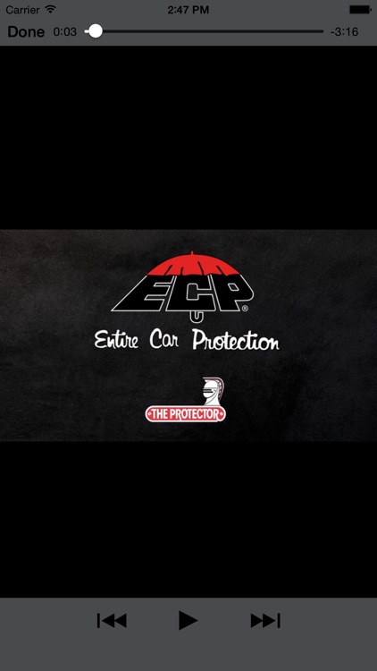 The Protector - ECP