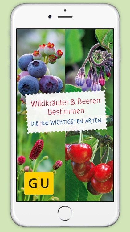 Wildkräuter & Beeren bestimmen – entdecken Sie heimische Kräuter und Beeren in Natur und Garten