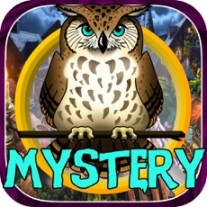 Activities of Hidden Objects:mystery of owl spirits