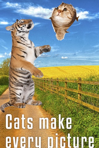 Sticky Cat - Free: Fun Stickers for pics screenshot 4