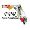 Florida Parrot Rescue