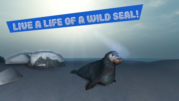 Seal Survival Simulator 3D