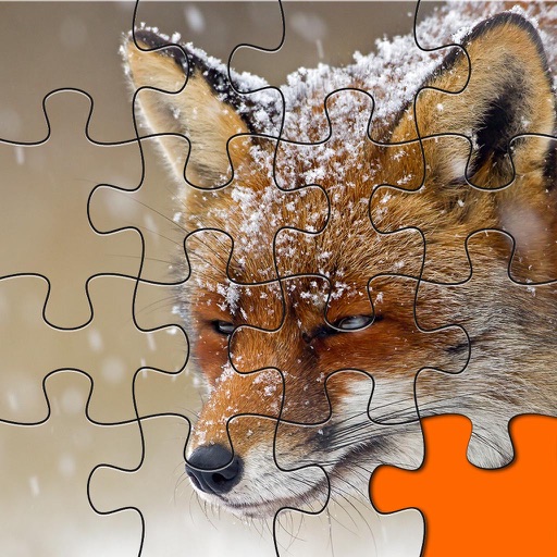 Wild Animals Jigsaw Free -  Forge The Picture From Scrambled Puzzle Pieces